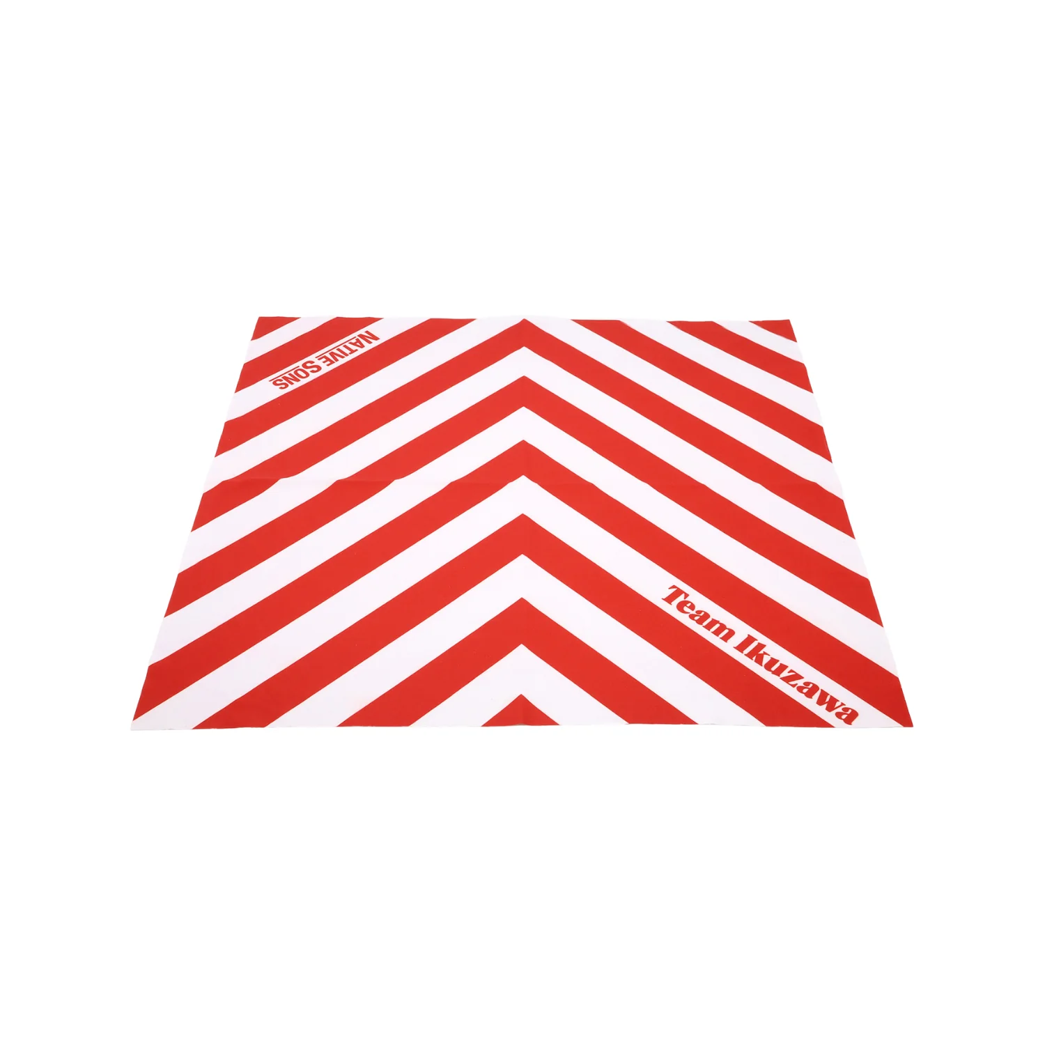 Native Sons x Team Ikuzawa Sunglasses - Gasoline - Image 7